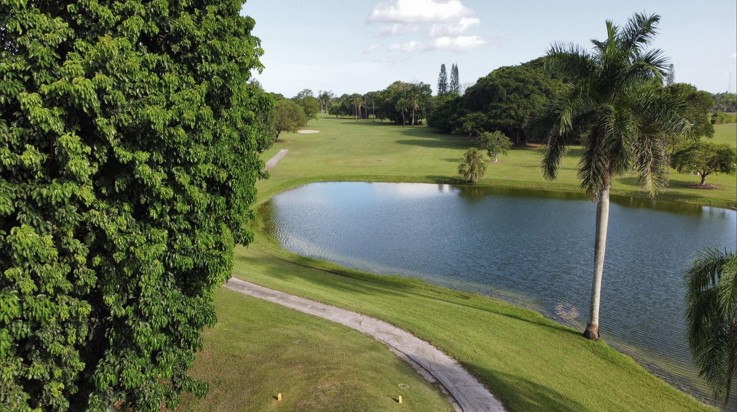 Aerial view of a Redland Golf pond, palm tree, and fairway.